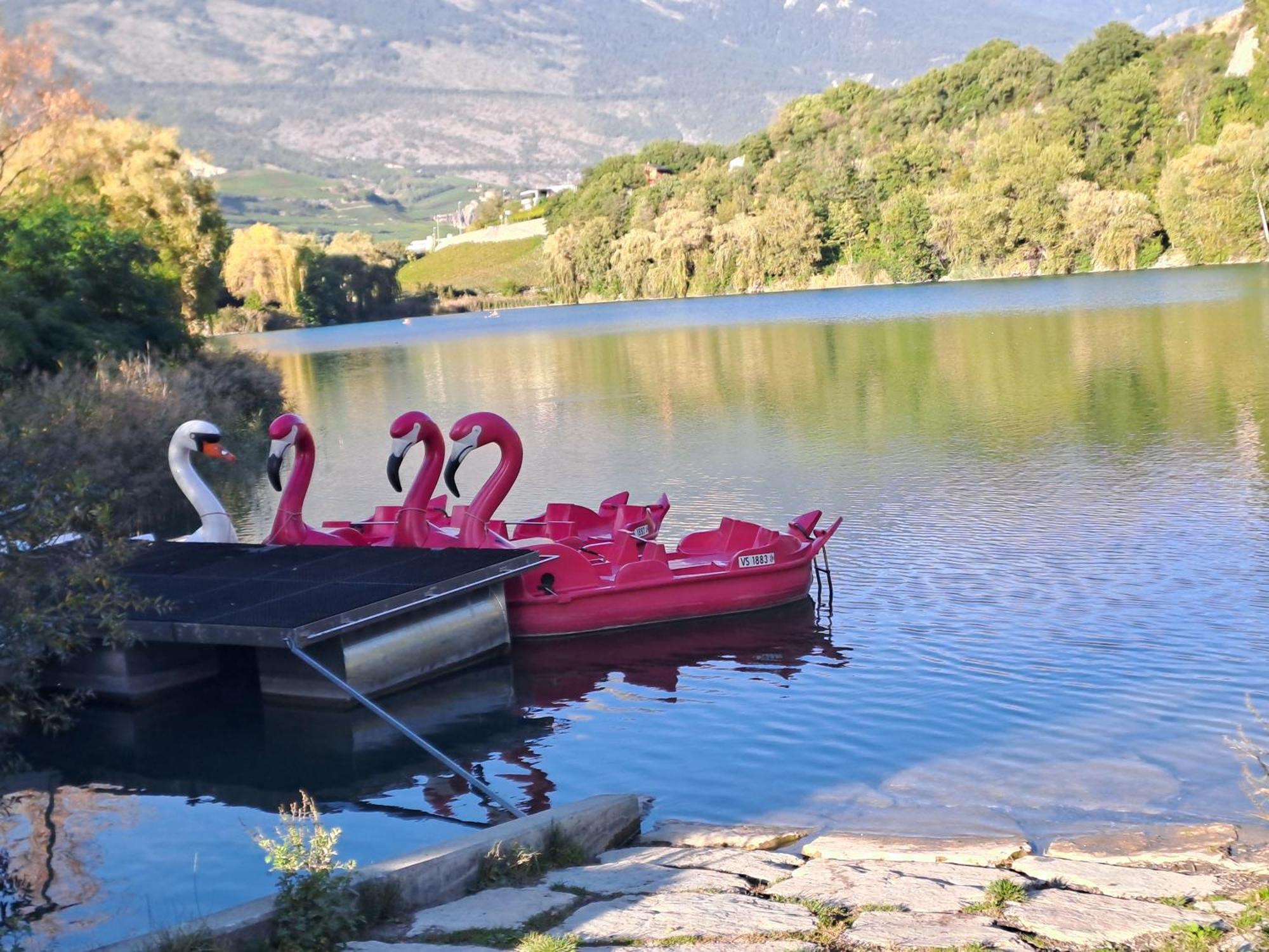 Vacances En Tout Tranquillite A Vercorin Luaran gambar
